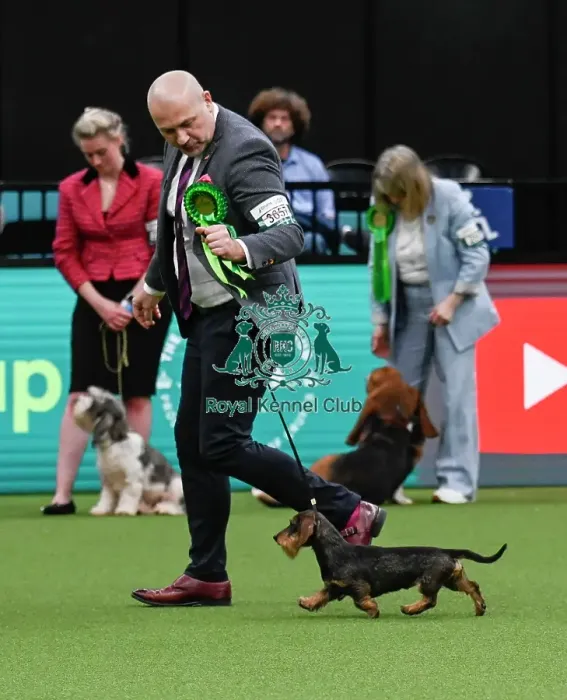 Framed Print : Arena Group Judging - Hounds