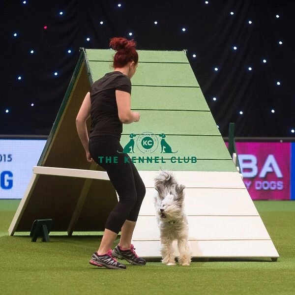 Ashley and Pudsey from Xfactor fame compete in Crufts Singles Agility