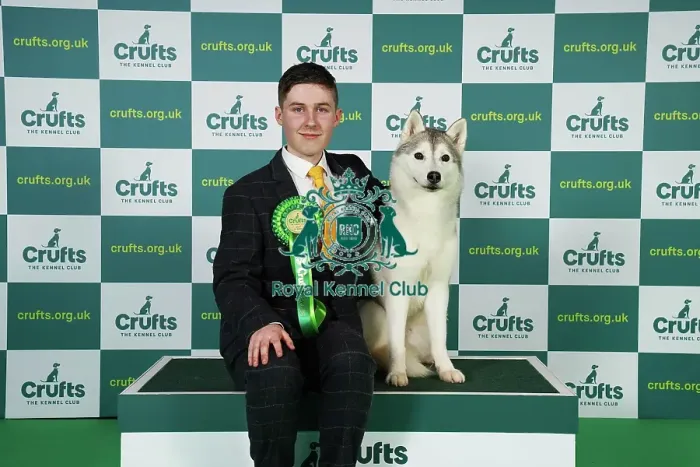 Framed Print : Ashley Sutton from New Aycliffe with Arya, a Siberian Husky, which was the Best of Breed winner today (Friday 10. 03. 23), the second day of Crufts 2023, at the NEC Birmingham