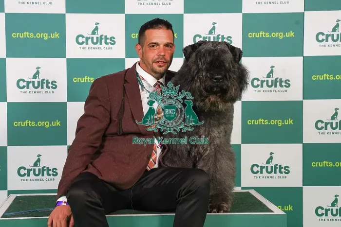 Framed Print : Attile Schlosser from Hungary with, a Bouvier des Flandres, which was the Best of Breed winner today (Friday 10. 03. 23), the second day of Crufts 2023, at the NEC Birmingham