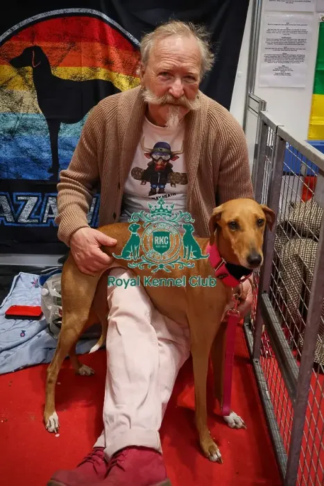 Framed Print : Azawakhs with owner Discover Dogs Framed Print : Azawakhs with owner Discover Dogs