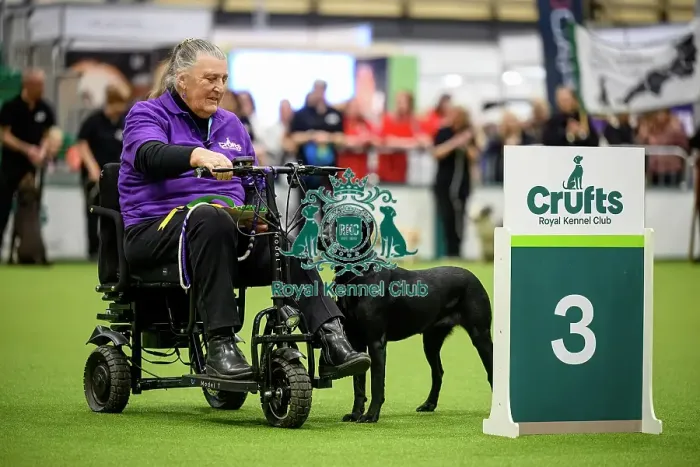 Framed Print : Beryl and Winnie, Third place in the Level 5 Inter-Regional Rally Competition today (05)
