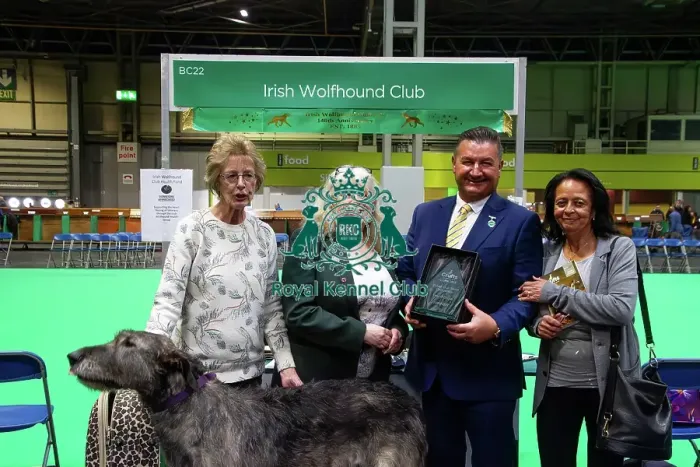 Framed Print : Best breed club stand, Hound group, Irish Wolfhound Club Winners