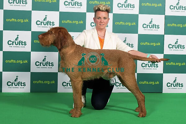 Best of Breed HUNGARIAN WIREHAIRED VIZSLA Crufts 2023