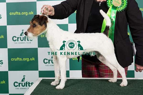 Best of Breed PARSON RUSSELL TERRIER Crufts 2023
