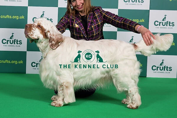 Best of Breed SPANIEL (CLUMBER) Crufts 2023