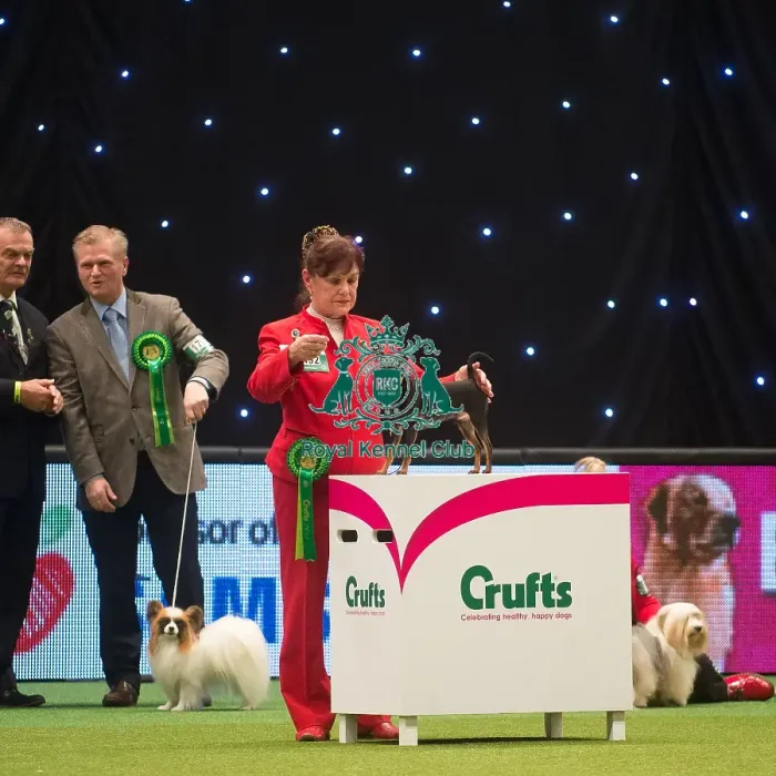 Framed Print : Best in Group, Crufts 2015 Framed Print : Best in Group, Crufts 2015