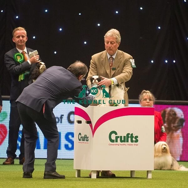 Best in Group, Crufts 2015