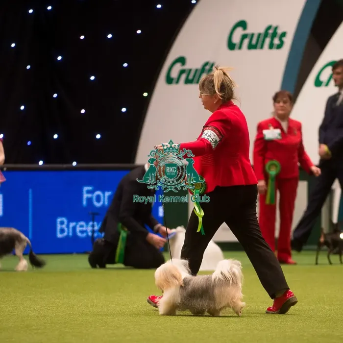 Framed Print : Best in Group, Crufts 2015 Framed Print : Best in Group, Crufts 2015