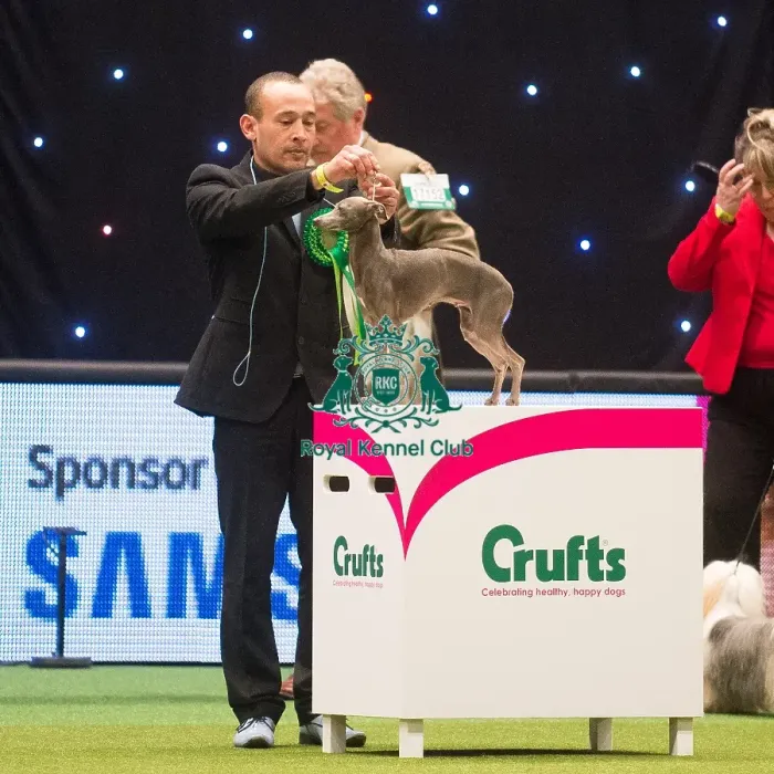 Framed Print : Best in Group, Crufts 2015 Framed Print : Best in Group, Crufts 2015
