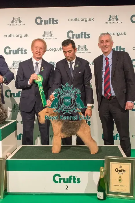 Framed Print : Best in Group Terrier 2nd Place Crufts 2020 Framed Print : Best in Group Terrier 2nd Place Crufts 2020