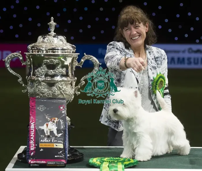 Framed Print : Best in Show, Crufts 2016 Framed Print : Best in Show, Crufts 2016