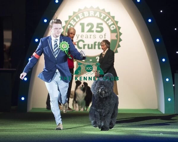 Best in Show, Crufts 2016