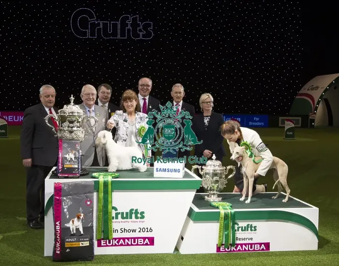 Framed Print : Best in Show, Crufts 2016 Framed Print : Best in Show, Crufts 2016