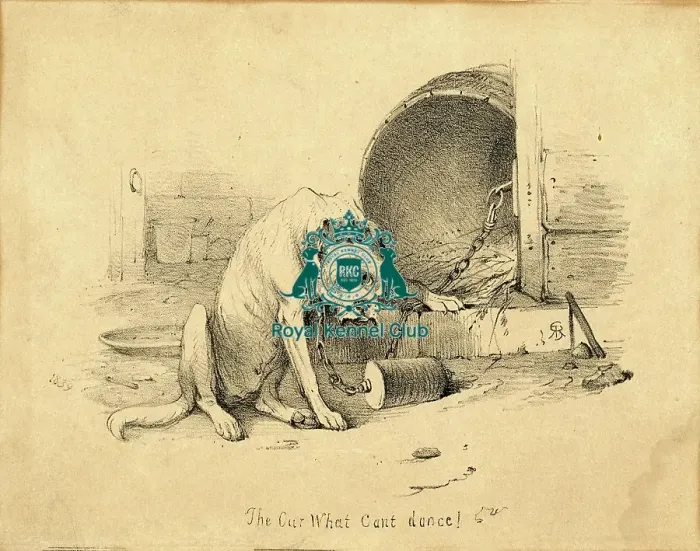 Framed Print : My Body of Curs book 1839-1840 Framed Print : My Body of Curs book 1839-1840