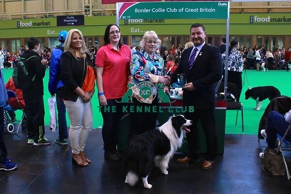 border collie best of breed stand