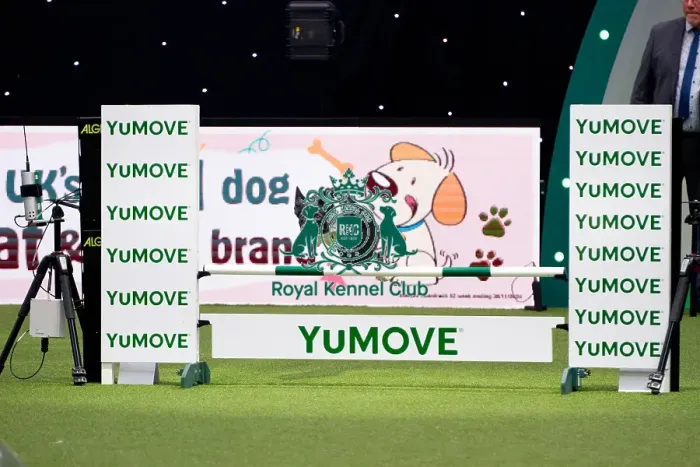 Framed Print : Border Collie competing in Crufts Singles Intermediate