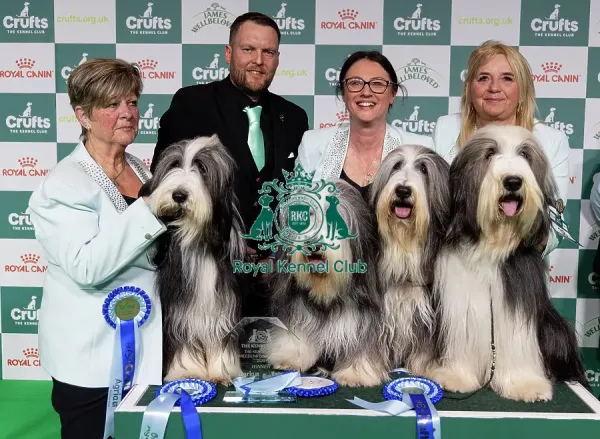 Breeder Rachel Salter with her Bearded Collie winners Art