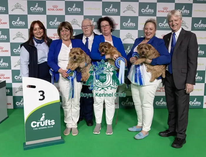 Framed Print : Breeder Ruth Gee with her 3rd placed Norfolk Terrier Watercrofts who was competing today in the Breeders Competiition