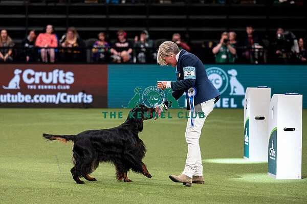 British Vulnerable Breed Competition Crufts 2022 Gundog Group Judging Crufts 2022