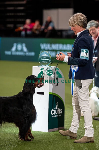 British Vulnerable Breed Competition Crufts 2022 Gundog Group Judging Crufts 2022