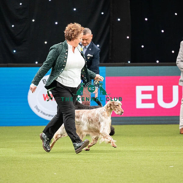 British Vulnerable Breed Competition Crufts 2022