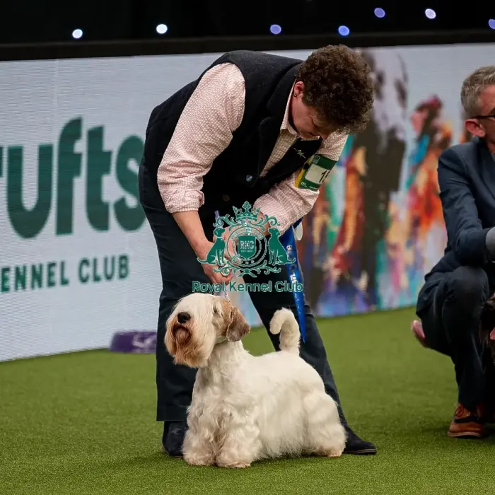 Framed Print : British Vulnerable Breed Competition Crufts 2022