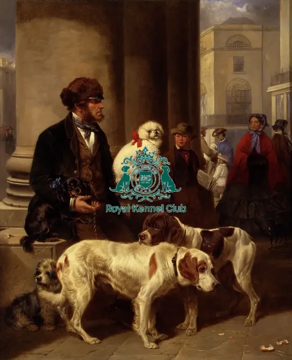 Framed Print : Buy A Dog Ma am Framed Print : Buy A Dog Ma am