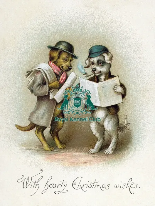 Framed Print : The Celia Haddon Collection Framed Print : The Celia Haddon Collection