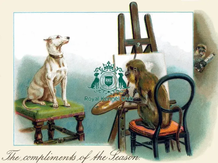 Framed Print : The Celia Haddon Collection