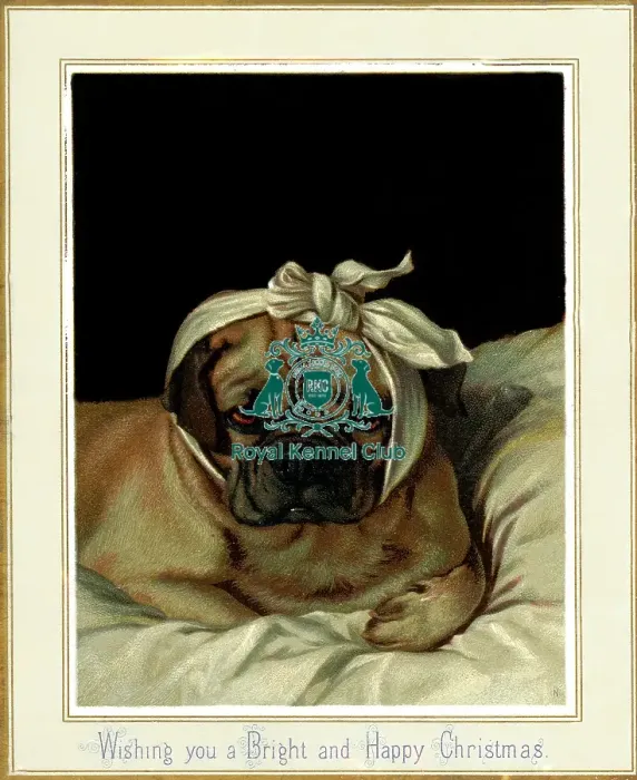 Framed Print : The Celia Haddon Collection