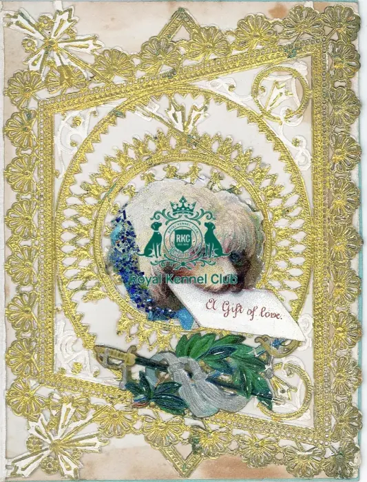 Framed Print : Celia Haddon Collection