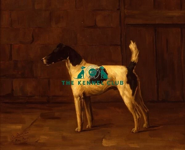 Ch Oxonian. Canvas 16.75 x 20.75 ins.. Mary Reeks was married to Fox Terrier breeder