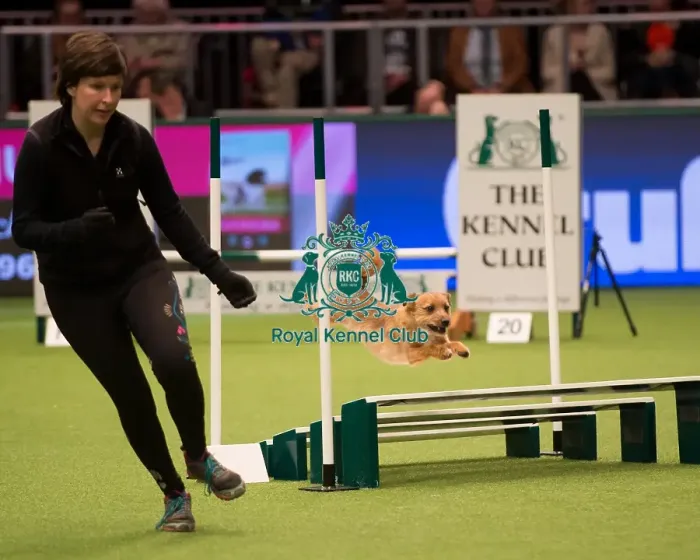 Framed Print : Championship Agility main arena
