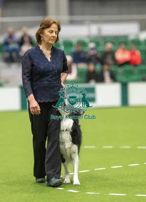 Framed Print : Championship Dog Obedience - 2nd Place, Crufts 2026 Championship Dog Obedience - 2nd Place, Crufts 2026
