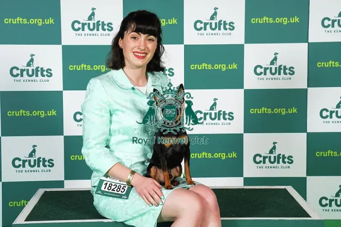 Framed Print : Charlotte Westerman from Darlington, with Otto, a Miniature Pinscher, which was the Best of Breed winner today (Sunday 12. 03. 23), the last day of Crufts 2023, at the NEC Birmingham Framed Print : Charlotte Westerman from Darlington, with Otto, a Miniature Pinscher, which was the Best of Breed winner today (Sunday 12. 03. 23), the last day of Crufts 2023, at the NEC Birmingham