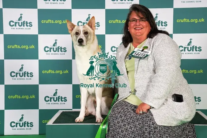 Framed Print : Chris Miller from Georgia, USA, with Datak, a Canaan Dog, which was the Best of Breed winner today (Sunday 12. 03. 23), the last day of Crufts 2023, at the NEC Birmingham Framed Print : Chris Miller from Georgia, USA, with Datak, a Canaan Dog, which was the Best of Breed winner today (Sunday 12. 03. 23), the last day of Crufts 2023, at the NEC Birmingham