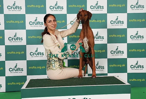 Christina Kostadinova from Romania with Bahir, a Azawakh which was the Best of Breed winner today (Saturday 11. 03. 23), the third day of Crufts 2023, at the NEC Birmingham