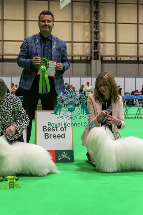 Framed Print : Coton de Tulear - Best of Breed, Crufts 2026 Coton de Tulear - Best of Breed, Crufts 2026 Framed Print : Coton de Tulear - Best of Breed, Crufts 2026 Coton de Tulear - Best of Breed, Crufts 2026