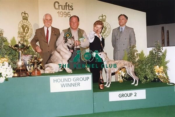 Crufts 1996 Group Winners Hound. 1st Elkhound, Ch Barlestone Crystal