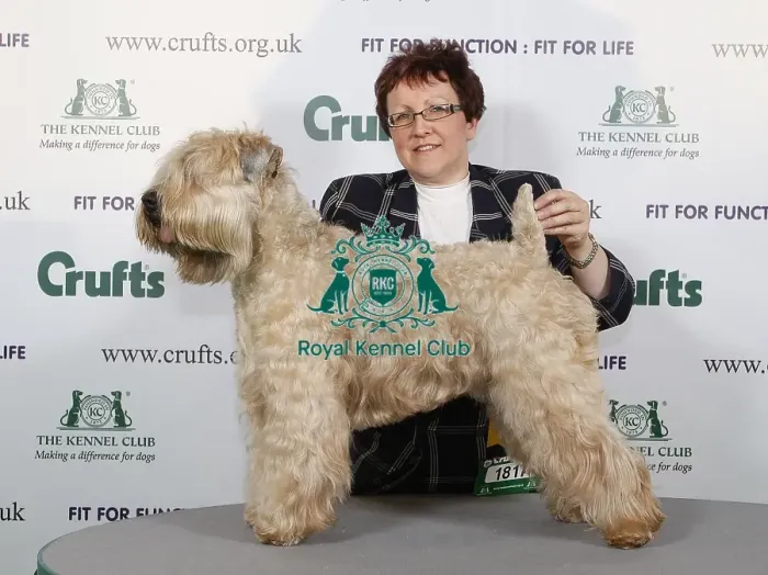 Framed Print : Crufts 2009 Best of Breed Winner Framed Print : Crufts 2009 Best of Breed Winner