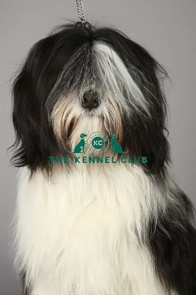 Crufts 2013, KCPL_Stock
