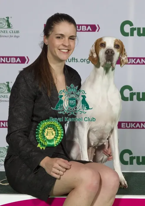 Framed Print : Crufts 2015 Framed Print : Crufts 2015