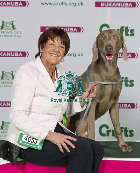 Framed Print : Crufts 2015 Framed Print : Crufts 2015