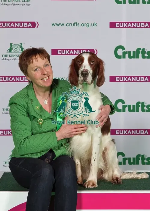 Framed Print : Crufts 2015 Framed Print : Crufts 2015