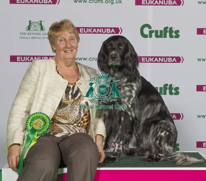 Framed Print : Crufts 2015 Framed Print : Crufts 2015