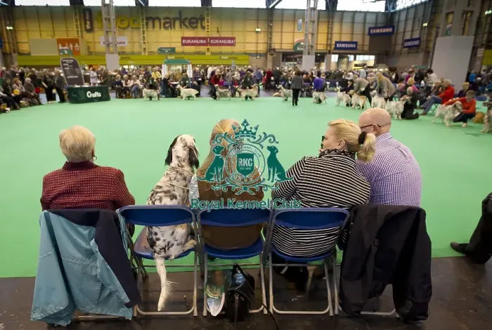 Framed Print : Crufts 2015 Framed Print : Crufts 2015