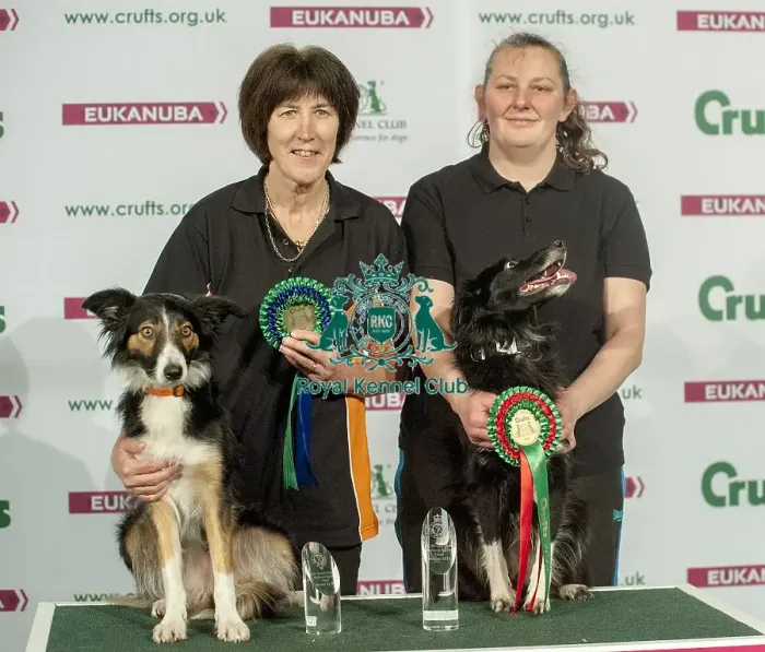 Framed Print : Crufts 2015 Framed Print : Crufts 2015