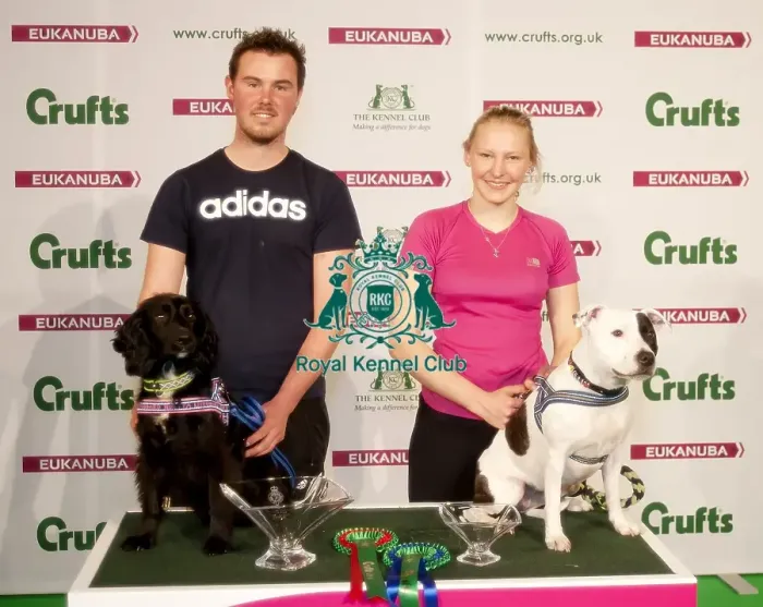 Framed Print : Crufts 2015 Framed Print : Crufts 2015