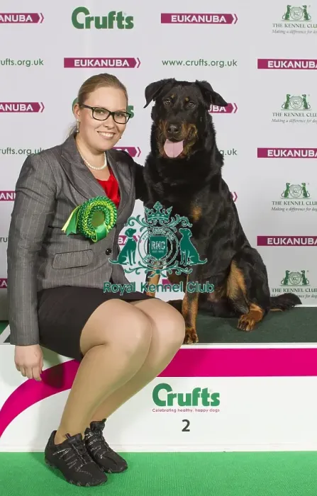 Framed Print : Crufts 2015 Framed Print : Crufts 2015
